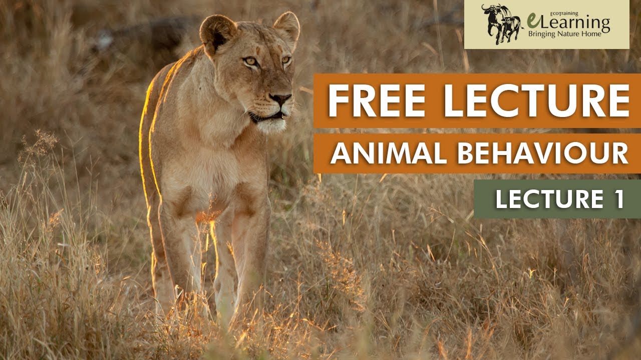 EcoTraining FREE Lecture on Animal Behaviour | Lecture 1