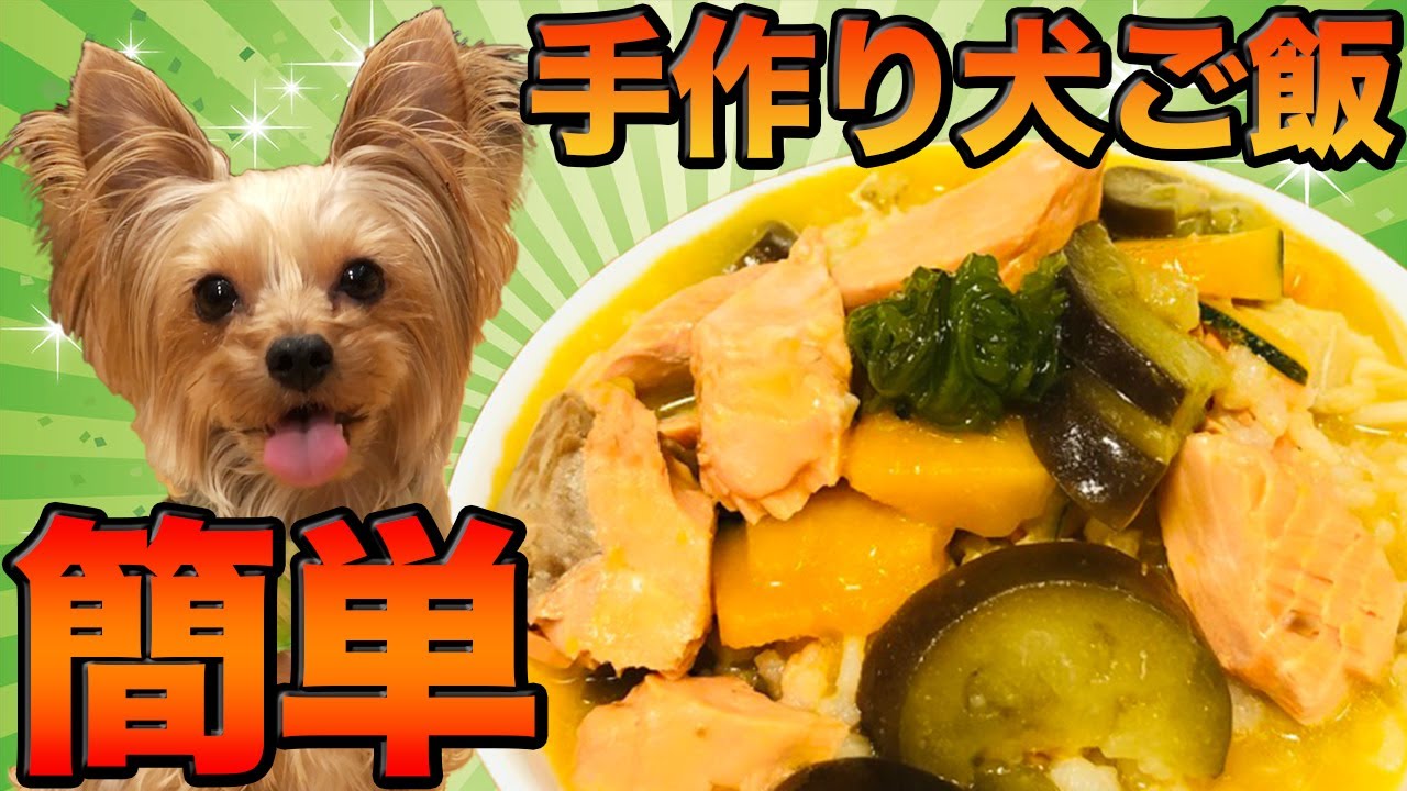 【手作り犬ご飯の作り方】鮭とナスの黄色い玄米ごはん７食分作り置き公開【犬の健康レシピ】