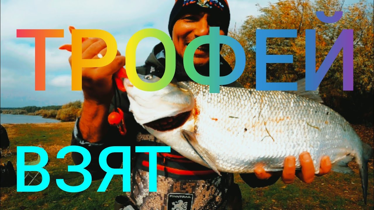 РАЗДАЧА ЖЕРЕХА / РЕКА ОКА. Рыбалка на СПИННИНГ. Район Ступино.#NEKFiSh