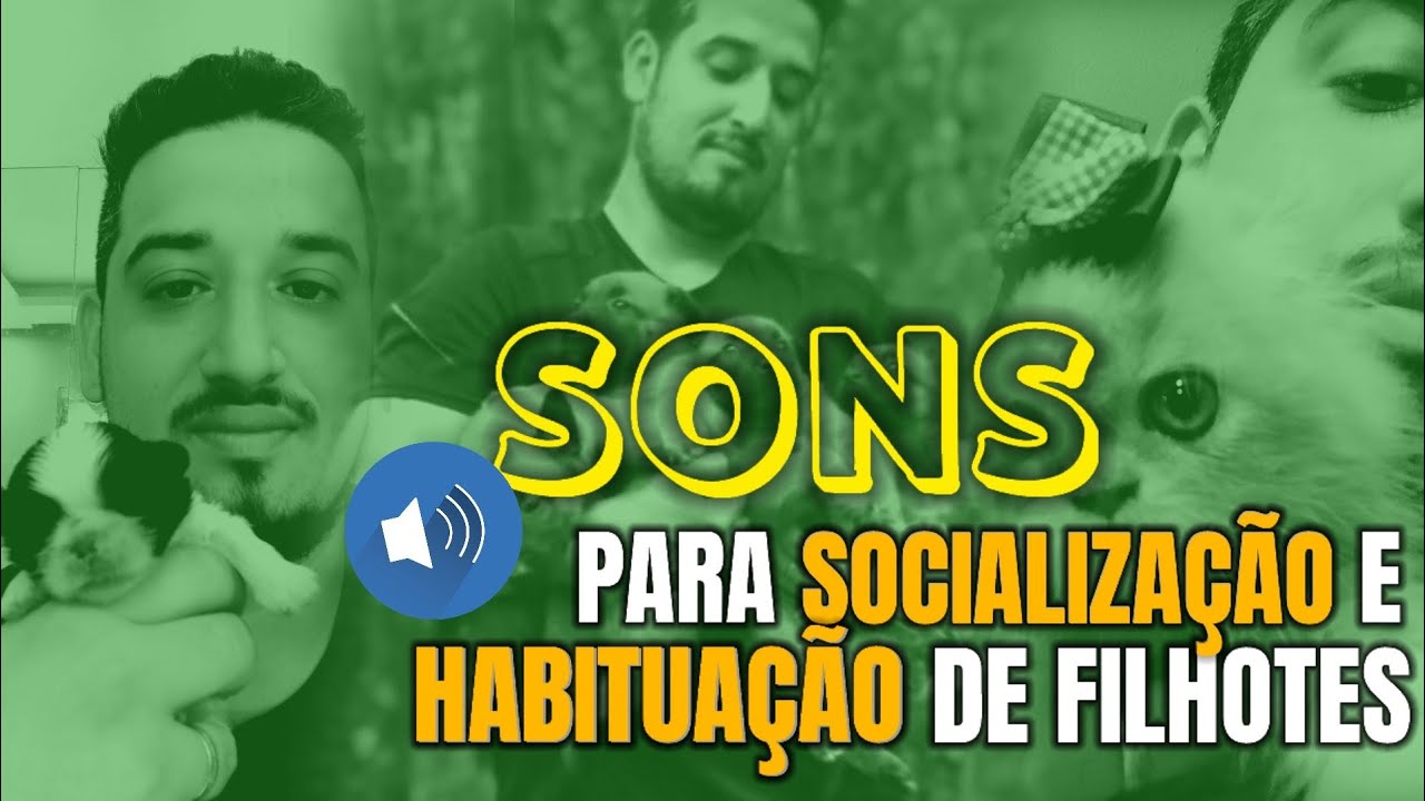 Sons para habituação e dissensibilização de FILHOTES | + de 50 sons diversos