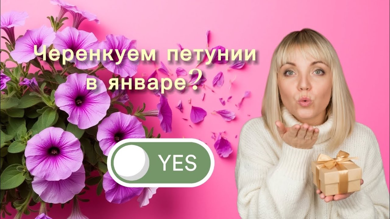 Шок! Черенкуем петунии в январе? Конечно! 