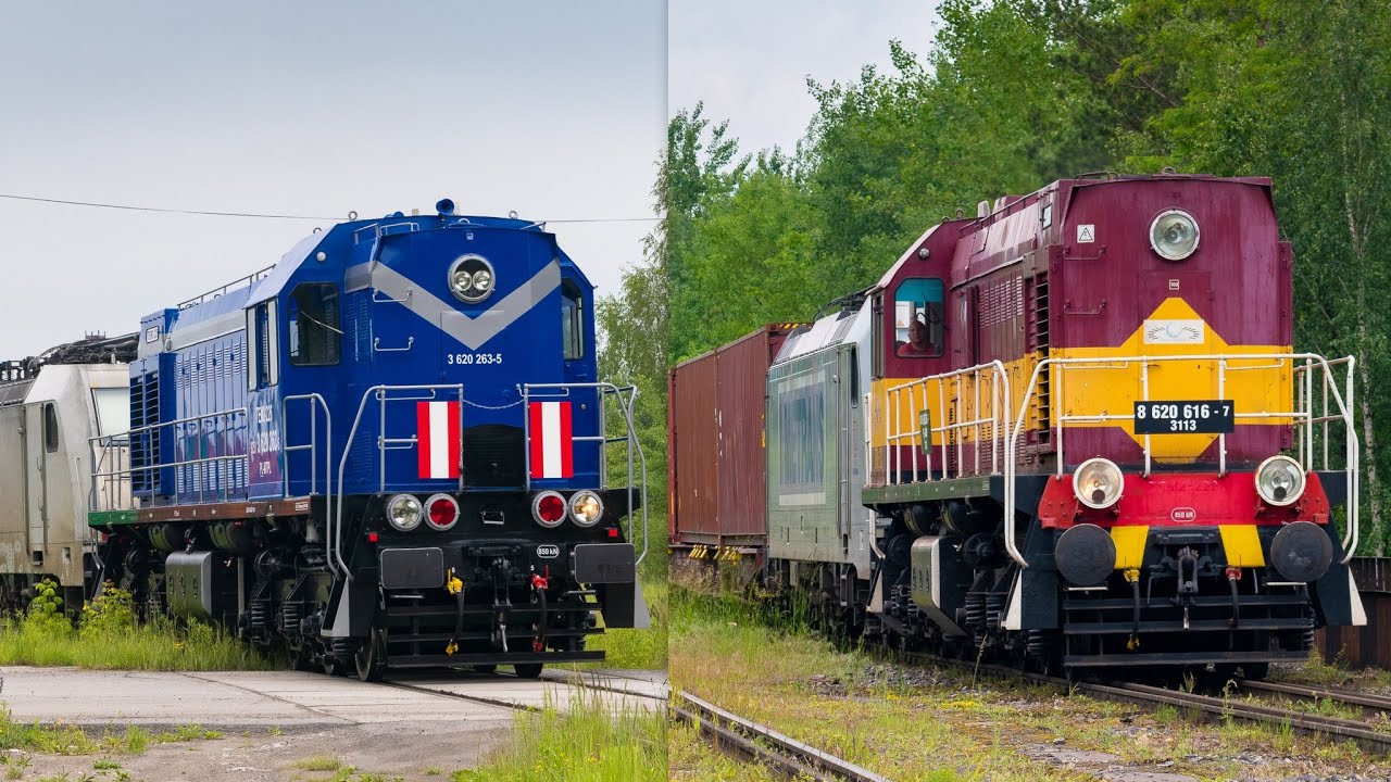 Dwie Tamary w służbie Metransu - TEM2-222 Rail Polska & świeża TEM2-226 | Dąbrowa G&oacute;rnicza