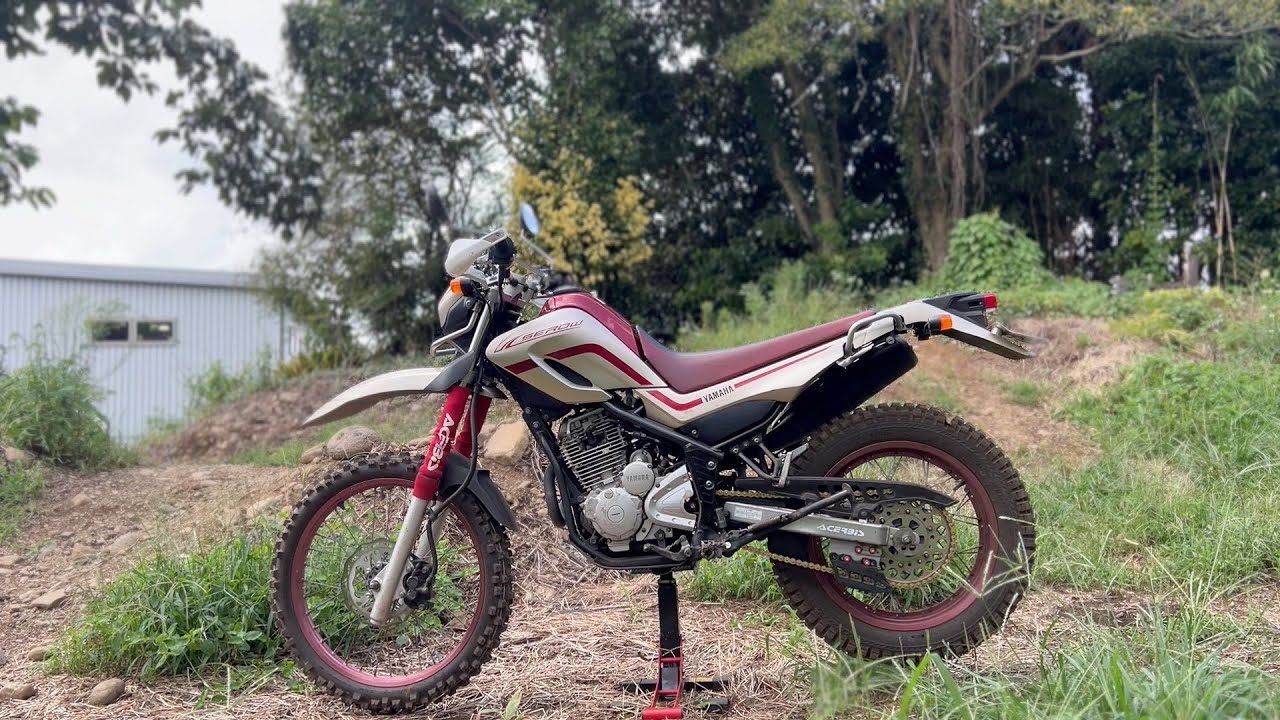 【DIY整備】メーター改ざんされたセローが走るまでの記録　部品代総額〇〇万円！【YAMAHA SEROW250】