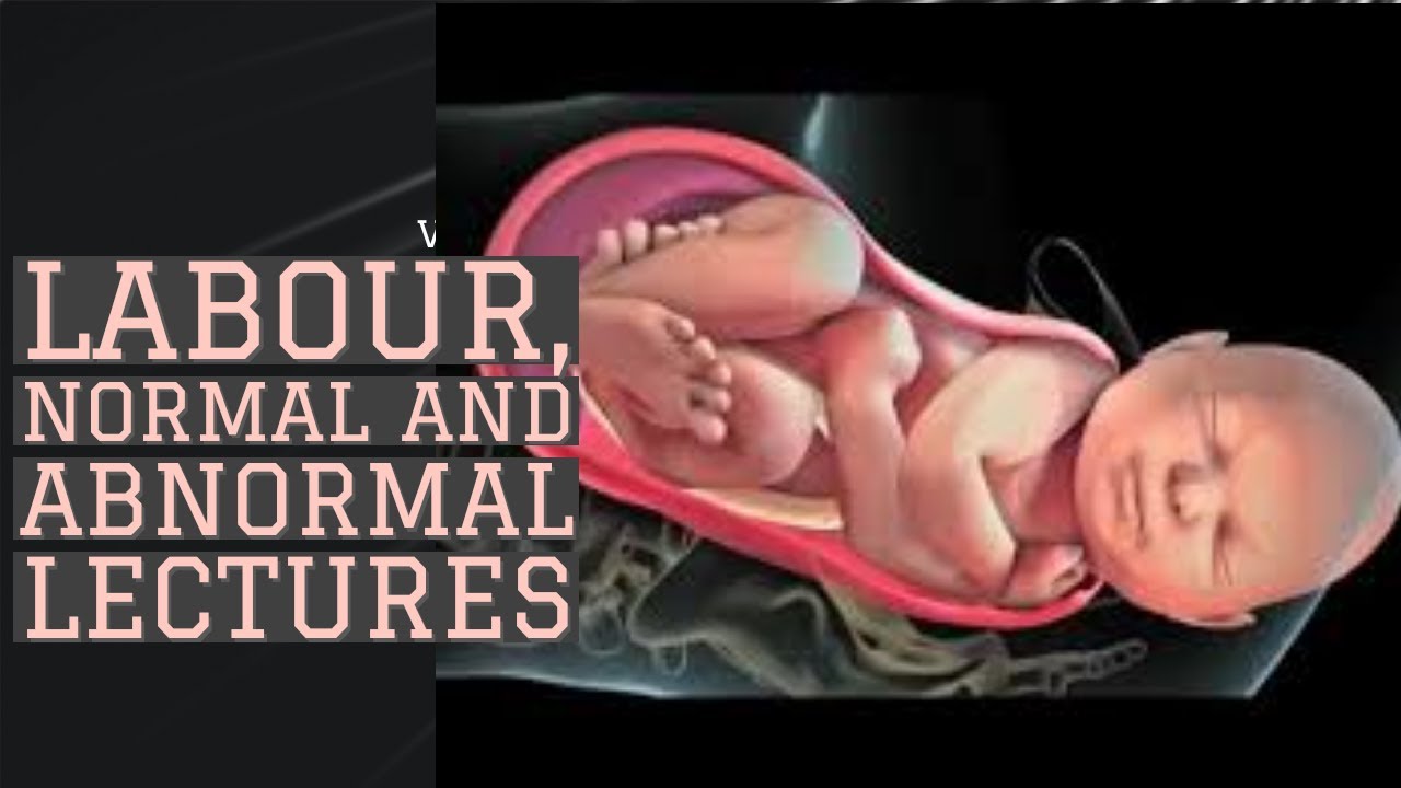 LABOUR lecture 2 STAGES OF LABOUR and FETAL presenting DIAMETERS made easy
