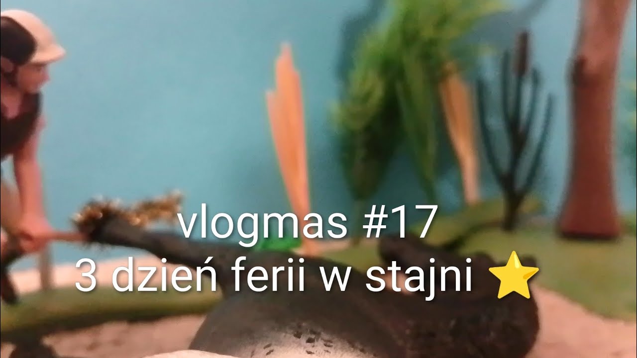 Vlogmas #17 ⭐3 dzień ferii w stajni ❤️⭐🎄#schleich 