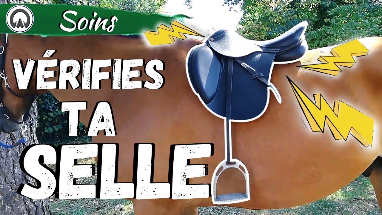 Auto diagnostique de ta selle en 6 points!