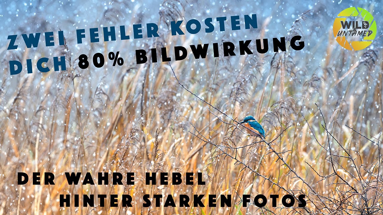 Die schmerzhafte Wahrheit - Wie nur zwei Fehler 80% deiner Bildwirkung zerstören