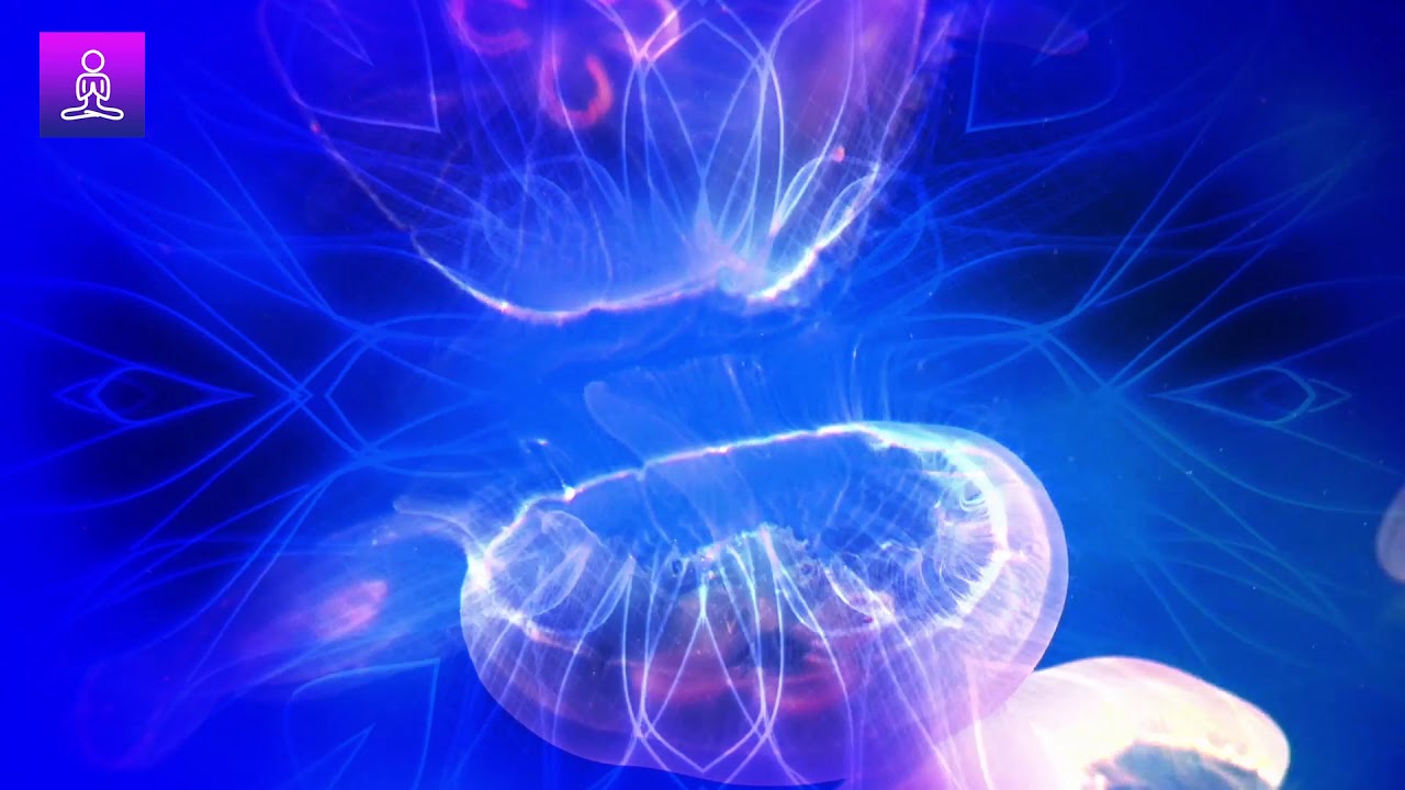 639 Hz Frequency to Manifest Love: Attract Love, Love Frequency, Heart Chakra