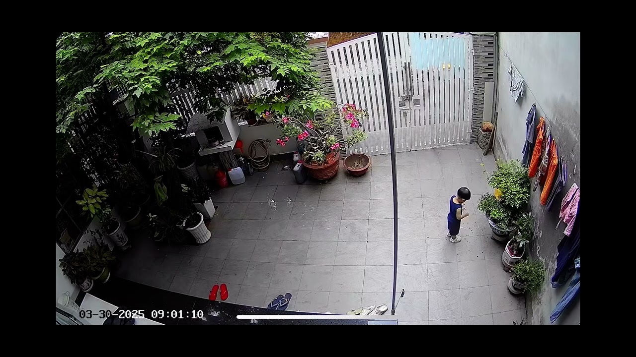Cái cây có tội j với Ota zị hok bik nữa
