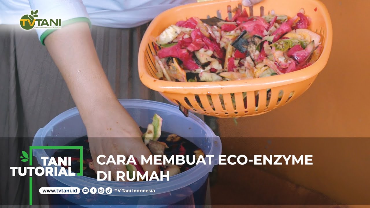 Cara Membuat Eco-Enzyme di Rumah