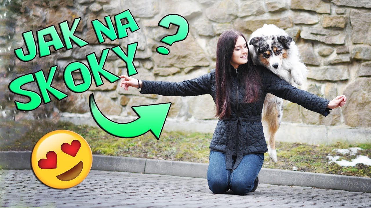 Jak naučit psa SKOKY PŘES RUCE, nohy  | Veronika&Akim