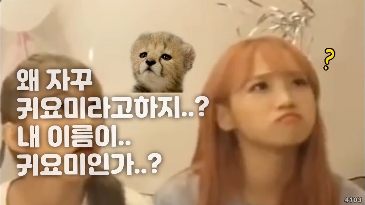 아이즈원 유진이와 김안유진의귀요미 채원