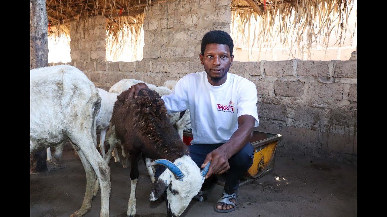 Malick Suwareh | IMVF | #TekkiFii &ndash; Make it in The Gambia