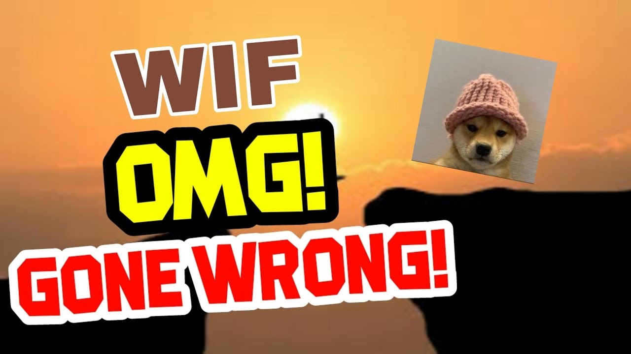 WIF COIN Today News! Dogwifhat WIF price prediction