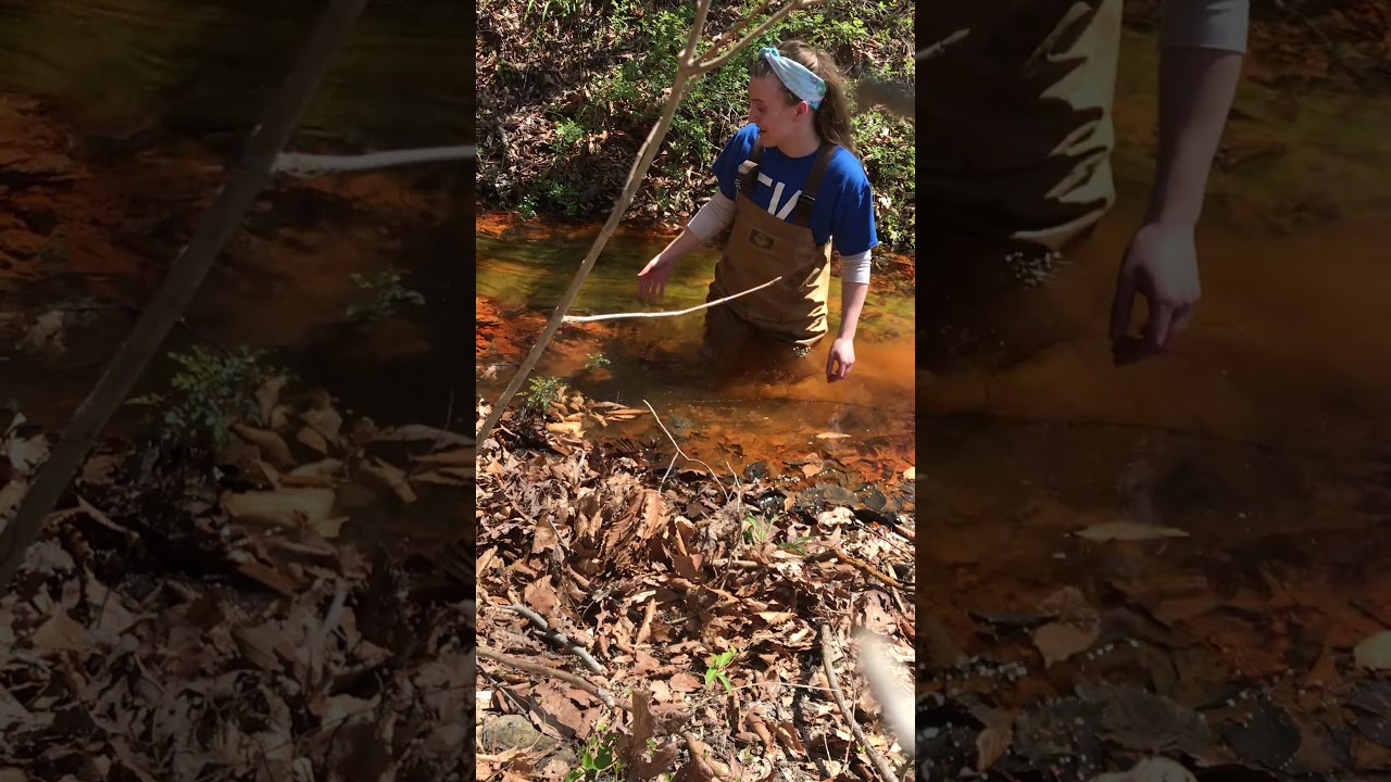 Introducing the acid mine drainage of Pine Run