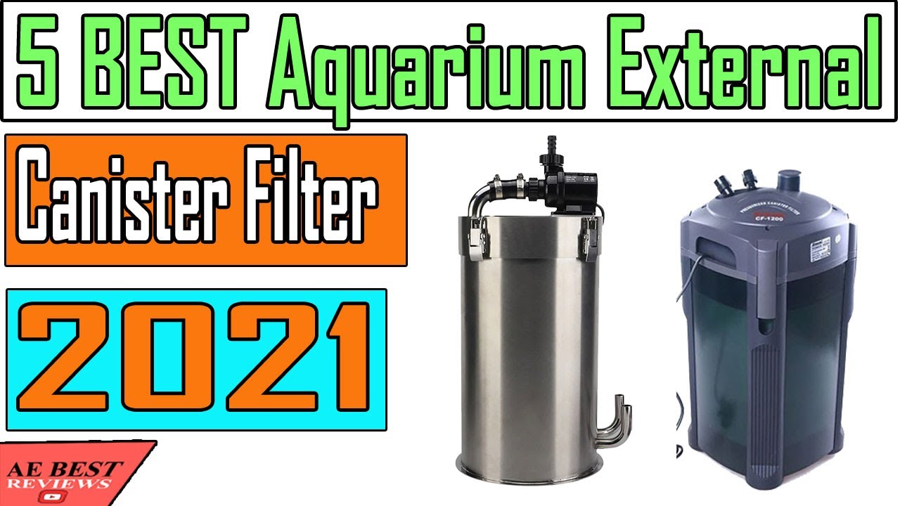 5 Best Aquarium External Canister Filter Review 2021