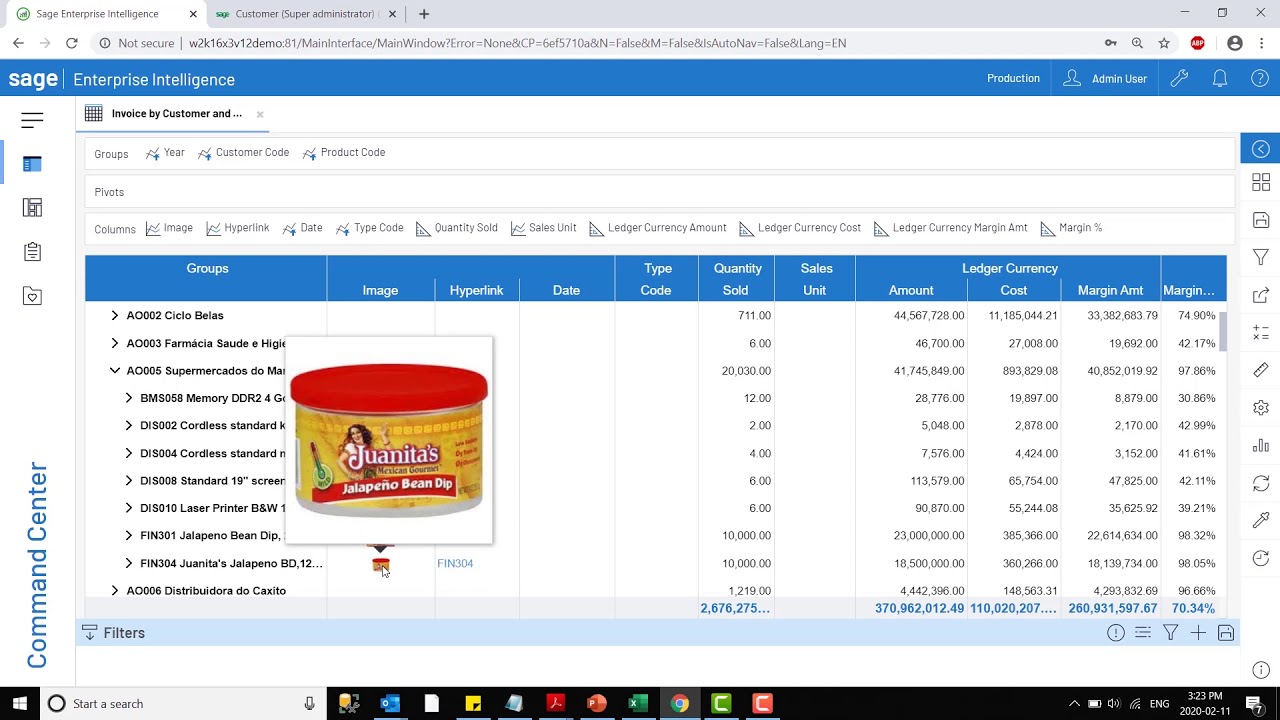 Sage Enterprise Intelligence Version 9 Demo