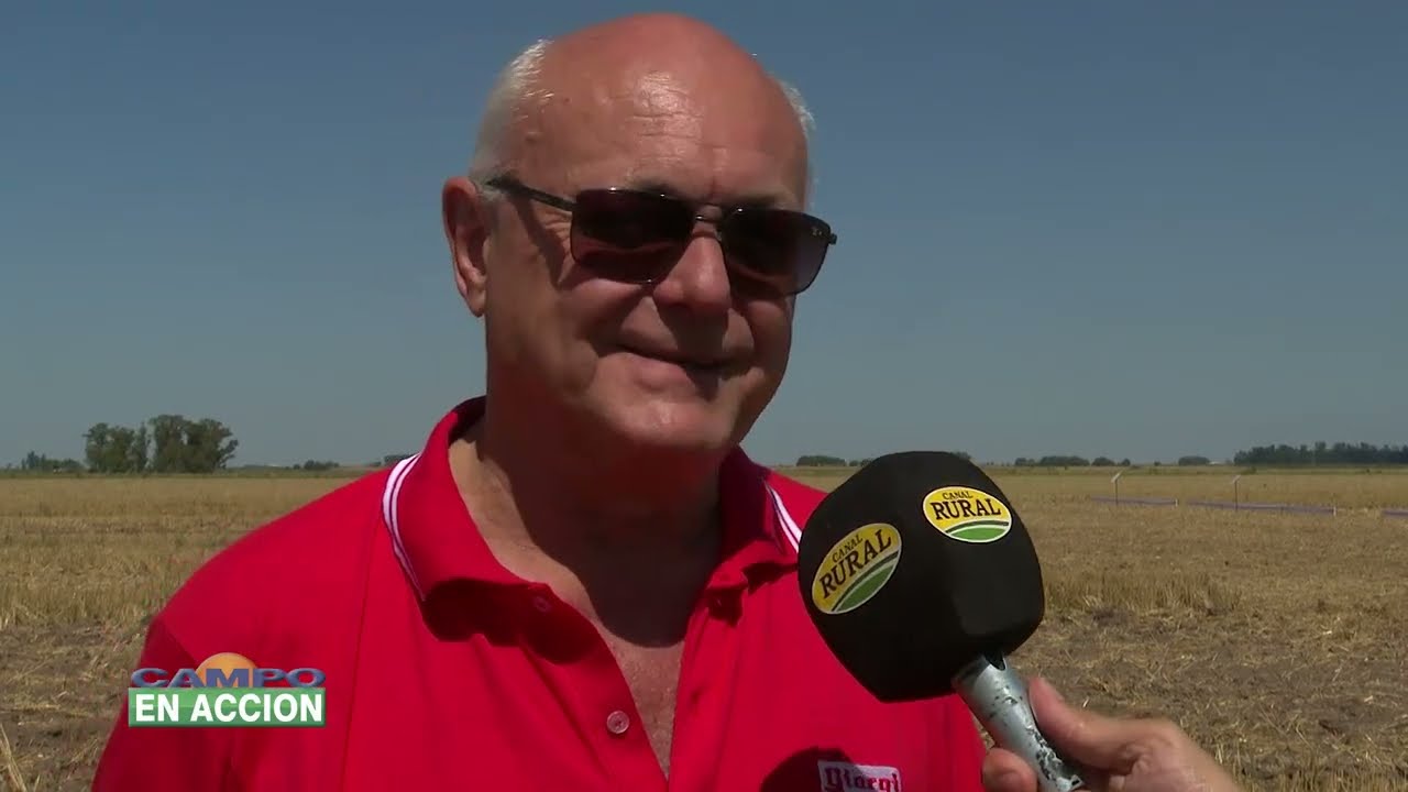 Nota a Nota Osvaldo Giorgi en 