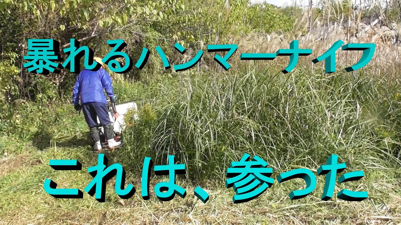 イノシシに荒らされた休耕田をハンマーナイフモアで刈る！
