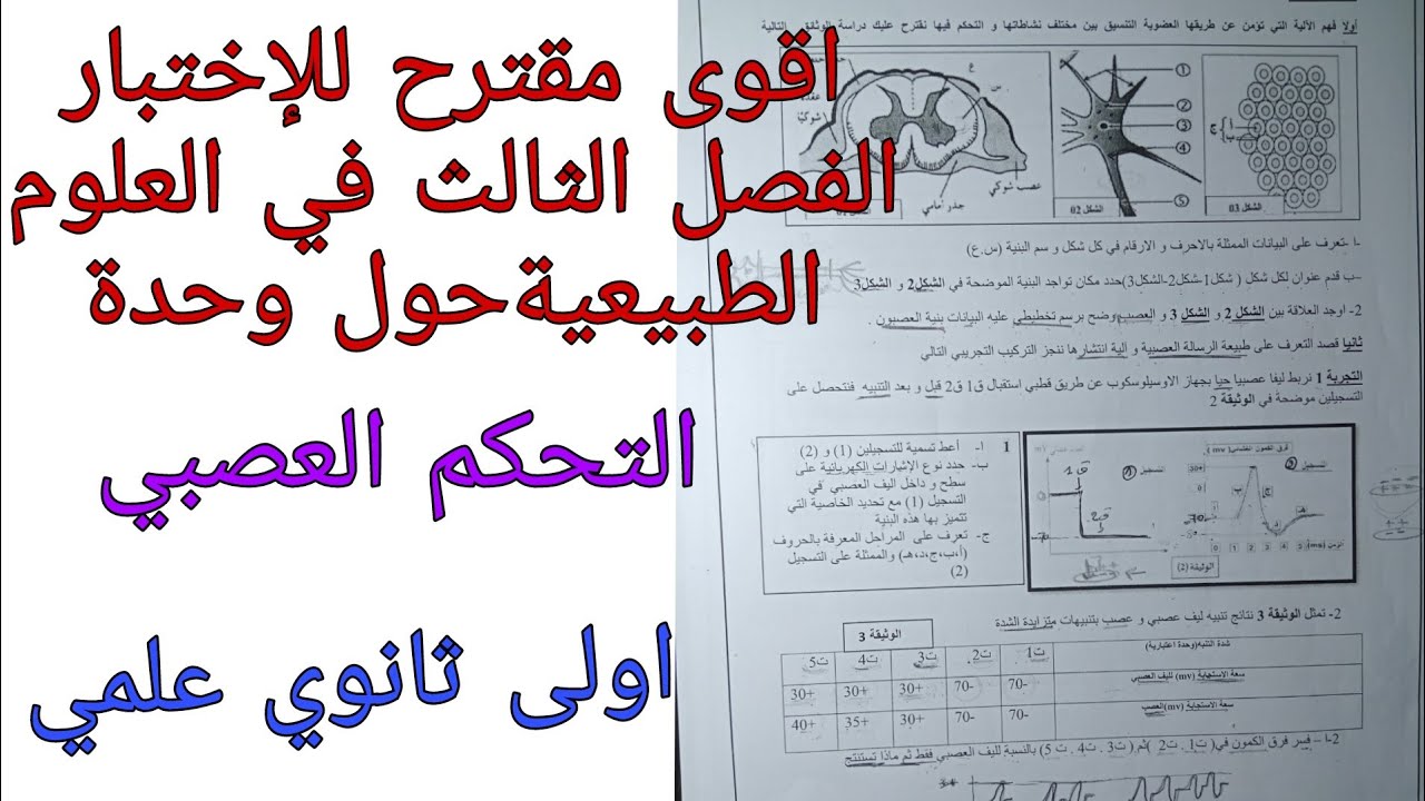 اقوى مقترح للإختبار الفصل الثالث في العلوم الطبيعية للسنة الاولى ثانوي علمي حول التحكم العصبي