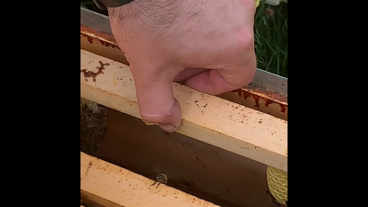Adding A Box And Fix Cross Comb