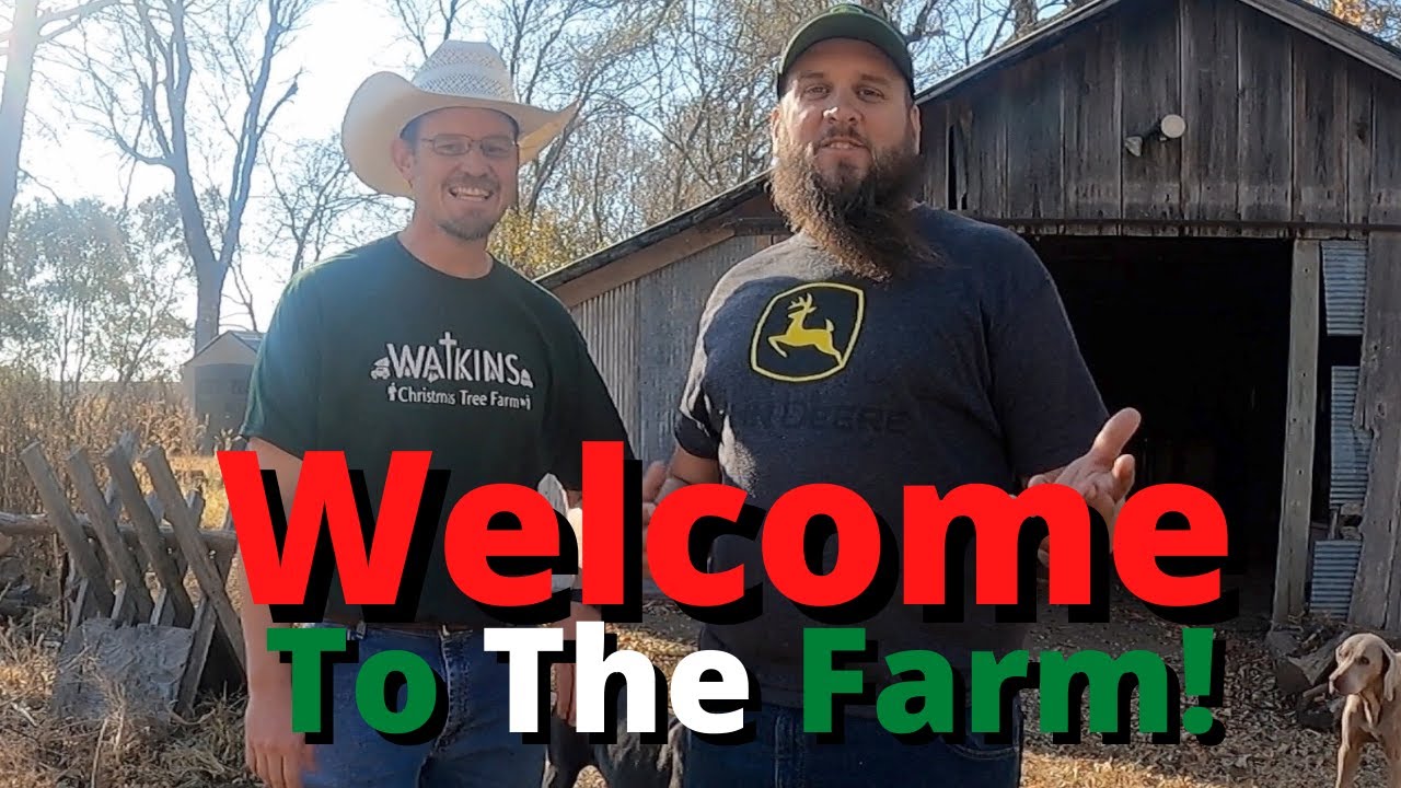 Christmas Tree Farm Tour - Watkins Tree Farm
