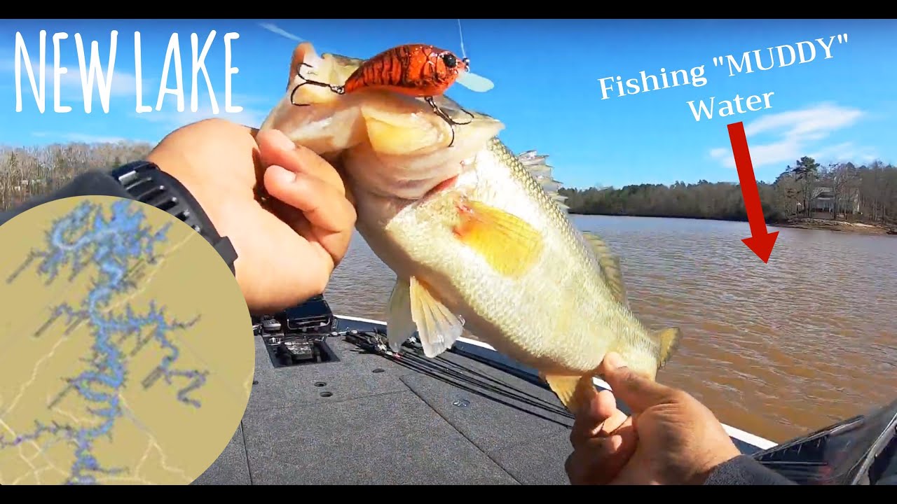 New Lake! Developing a pattern in 