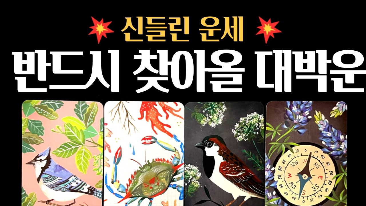 [타로] 🧿 신들린 운세❗3개월 내 반드시 찾아올 대박운