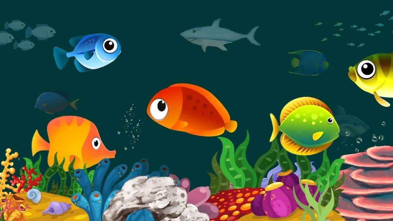 Fall Asleep First 💤 Fish Lullaby 🐟 Bedtime Lullaby for Sweet Dreams 💤