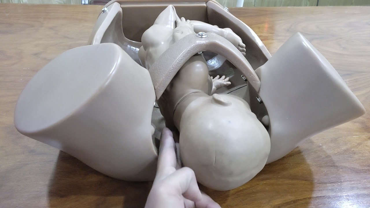 SHOULDER DYSTOCIA comprehensive demonstration on Dummy