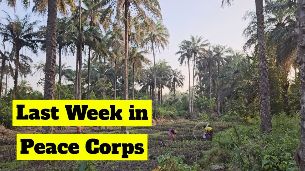 Peace Corps Guinea Vlog: Final days at site