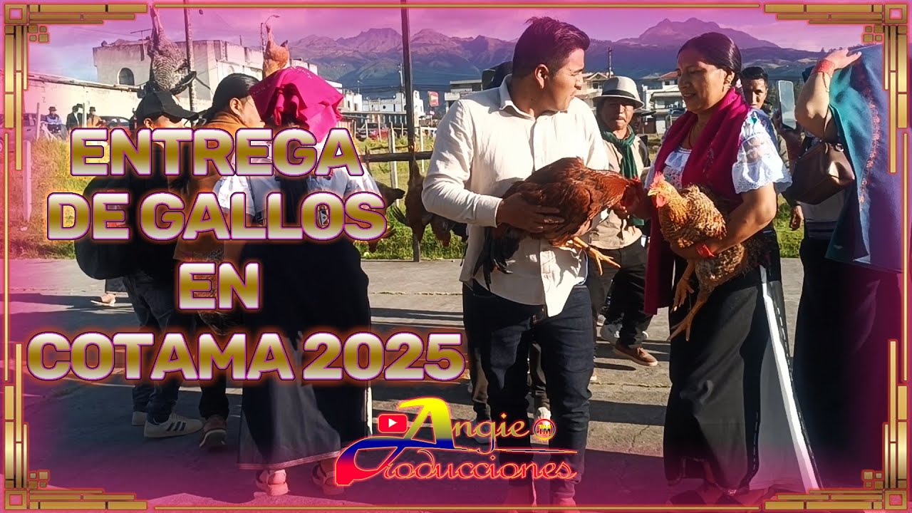 COTAMA ENTRAGA DE GALLOS 2025