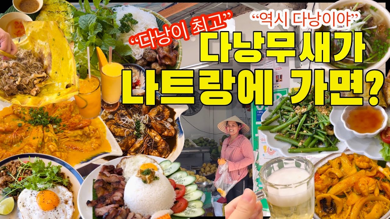 🇻🇳다낭무새가 나트랑에 가면 생기는 일 feat.다낭만 세번 나트랑은 처음