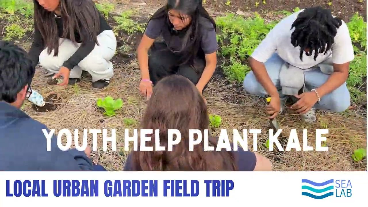 Sea Lab Field Trip: Urban Garden 2026