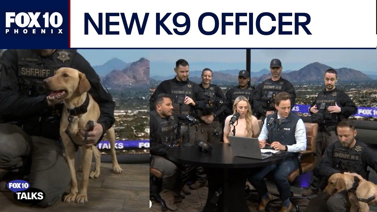 Maricopa County Sheriff’s Office welcomes new member of the K9 team | FOX 10 Talks