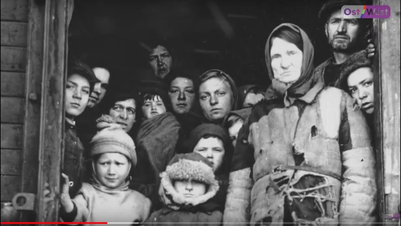 Немцы-переселенцы в Германии: 