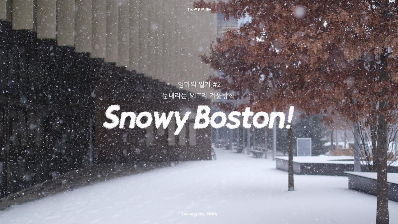 [ENGㅣ미국일상 vlog]겨울왕국이 된 보스턴 vlog_snowyday in Boston #boston #미국여행 #겨울보스턴