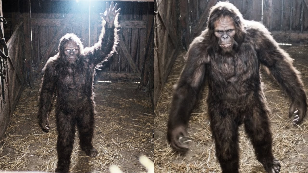 I Caught Footage of Bigfoot Sneaking into My Farm, He Was Trying to Warn Me - Sasquatch Story