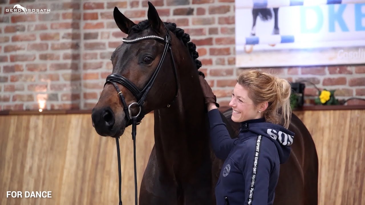 For Dance *2013 by For Romance I x Rubiloh | Sosath Stallion Show 2023