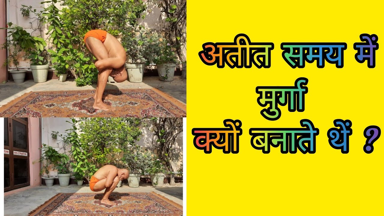 मुर्गा आसन के फायदे|#AcharyaNarenderKumarShastri#hen#student#yoga