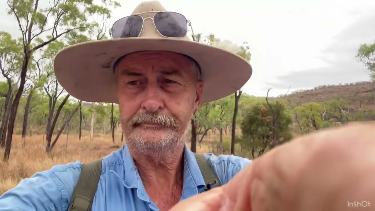 Goldfields at Mt hogan far North Queensland