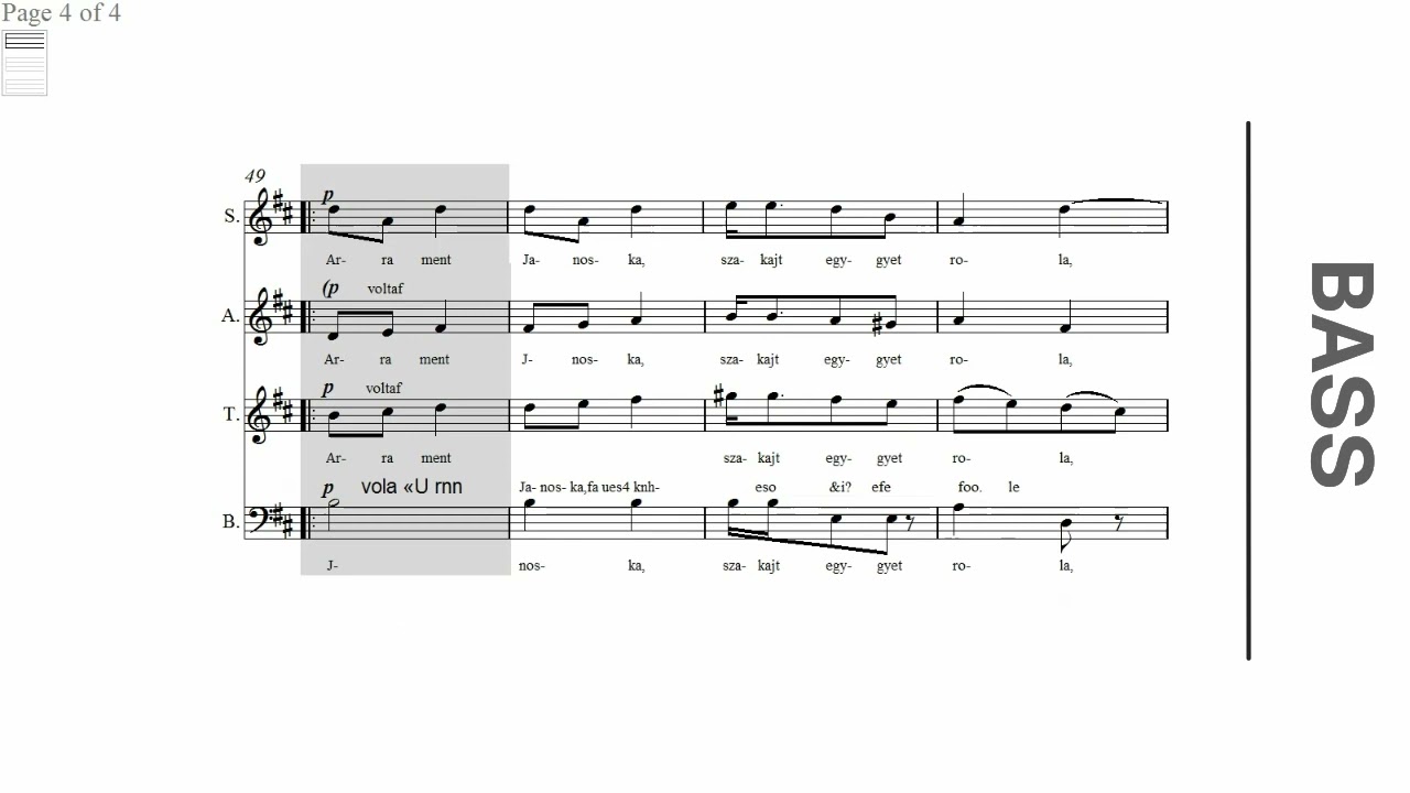 BASS TUROT ESZIK A CIGANY   ZOLTAN KODALY WAI