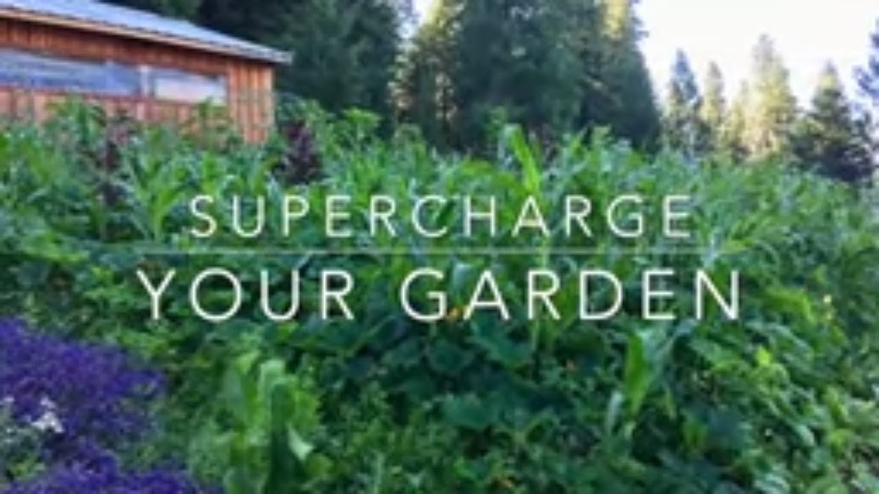 How To Supercharge Your Garden + Building Raised Rows