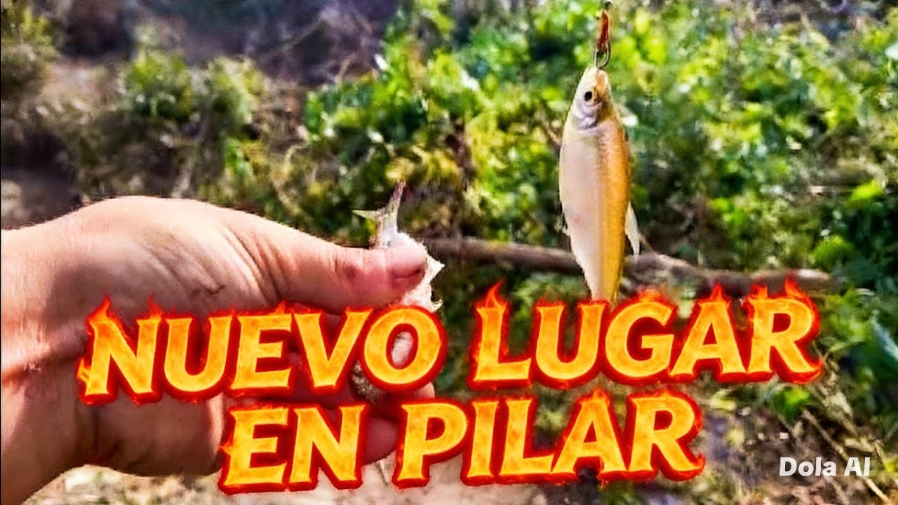 Nuevo lugar en pilar, muy buena pesca y cocina. 