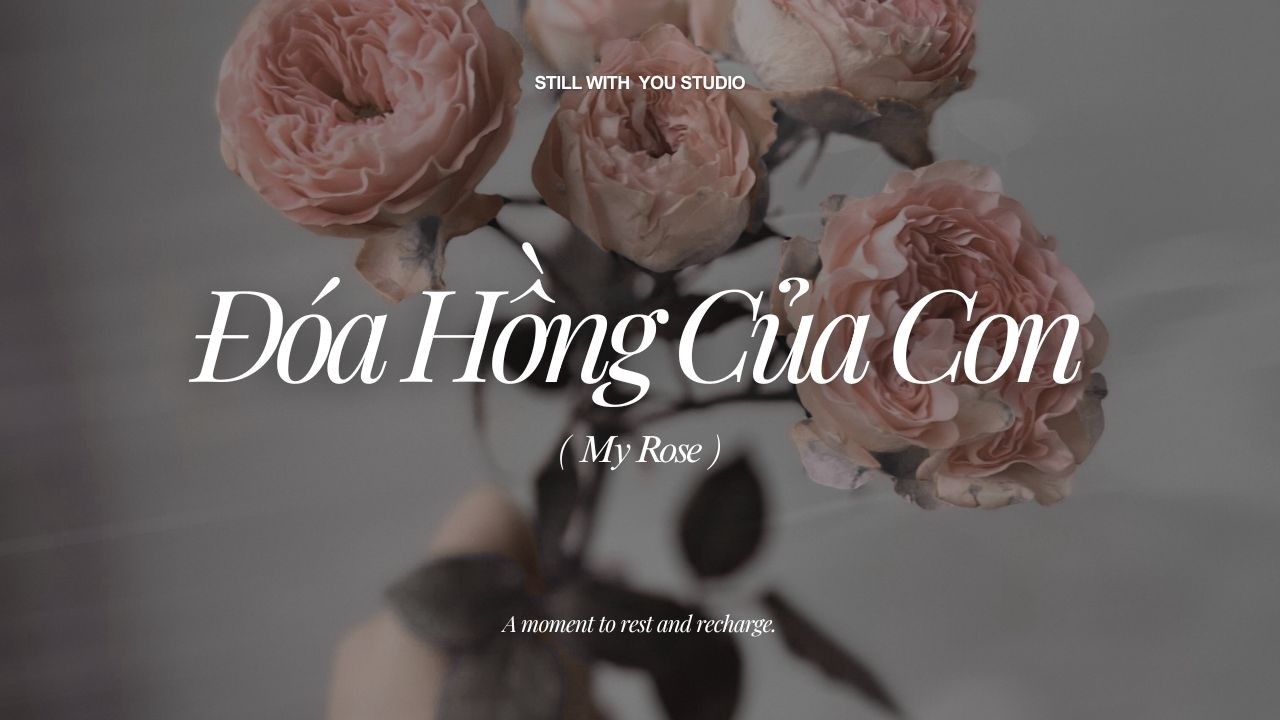 Đóa Hồng Của Con (My Rose) - Version No. 8