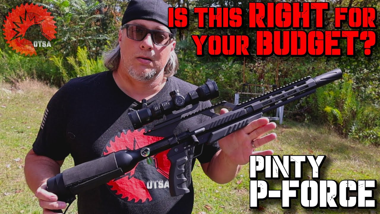 Подходит ли Pinty P-Force вашему бюджету? Тестирование пуль на полигоне