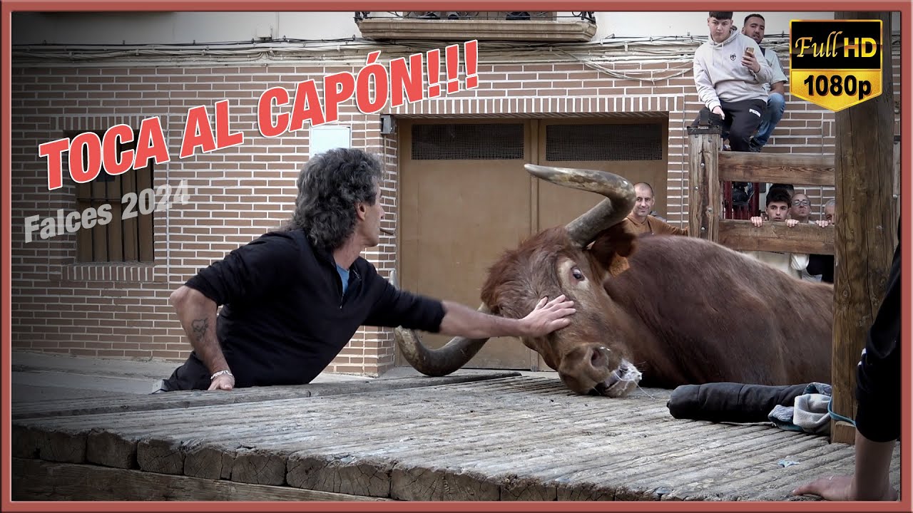 TOCA AL CAPÓN!! Falces (28-4-24) Teodoro Vergara