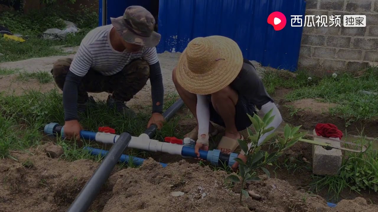 广西云姐：云姐果园做自动滴灌系统了，帅哥钓友来帮忙，田间分享钓大鱼配方