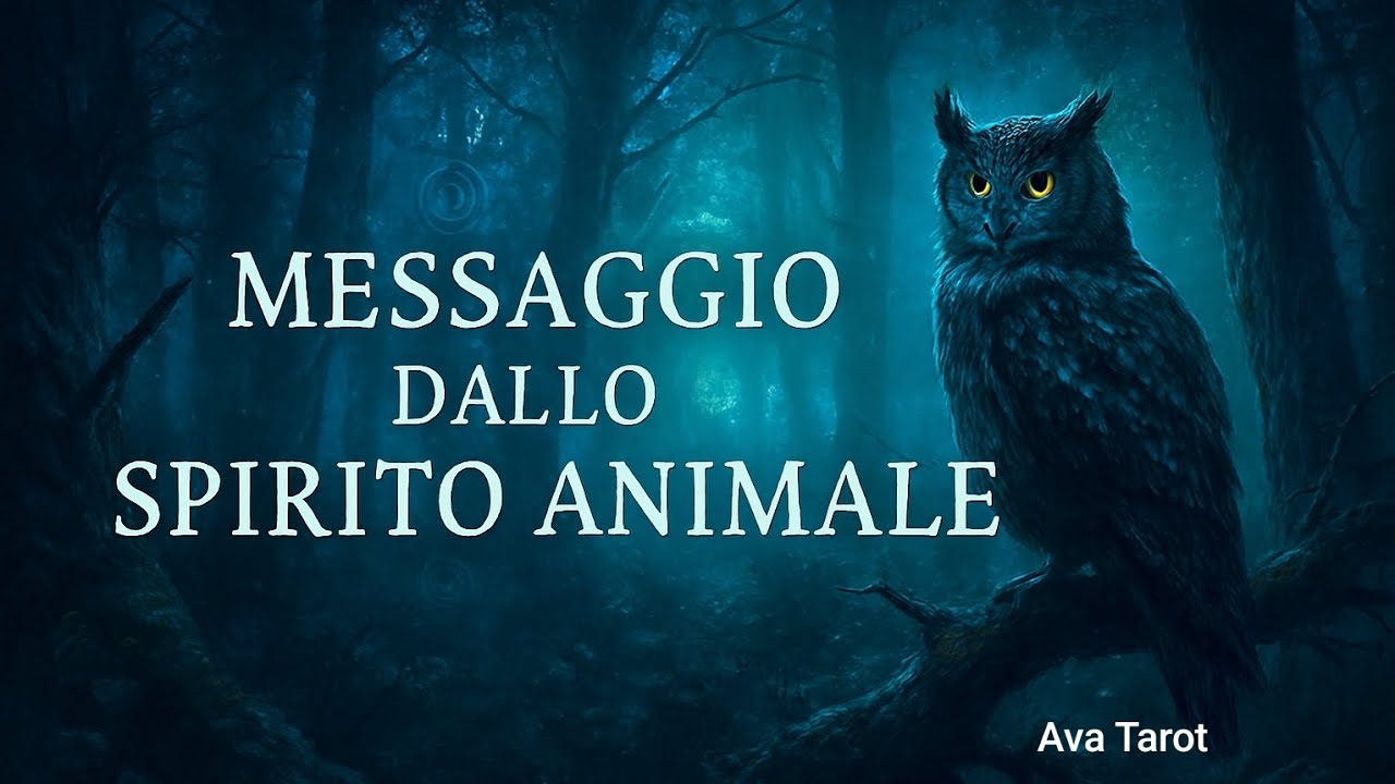 Messaggio dagli spiriti animali🦉@avatarot#tarot#tarocchi#tarocchiinterattivi#messaggio#oracoli#carte