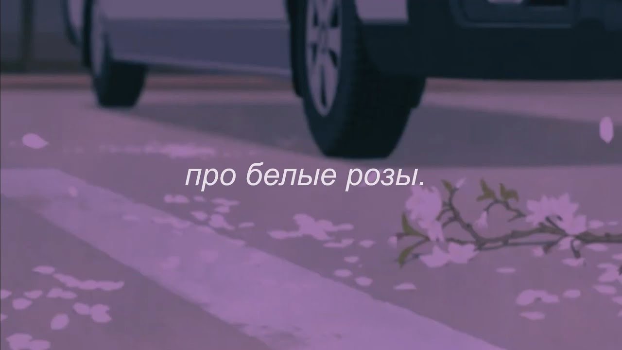 ⋘дима билан - про белые розы⋙ slowed + reverb